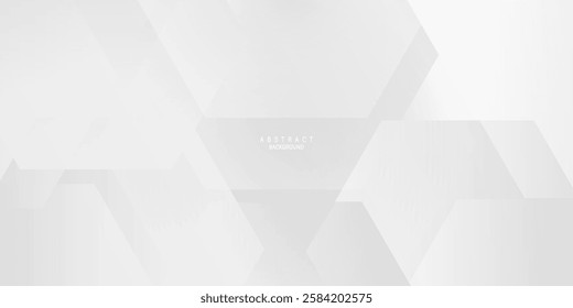 modern vector illustration of white and grey abstract background with hexagon design