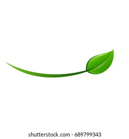 modern vector leaf