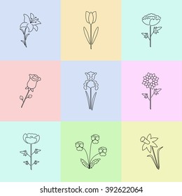 Modern vector line icons with different kind of garden flowers. Logo, badge, sign, label