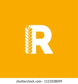 Modern Vector Logo Letter R. R Letter Design Vector