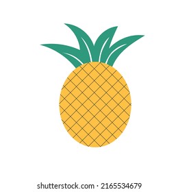 Modern vector pineapple illustration. Pineapple icon on white. Pineapple logo on isolated background. Hand drawn design style.