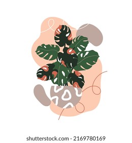 modern vector plant illustration orange and green monstera