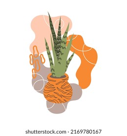 modern vector plant illustration tiger plant 