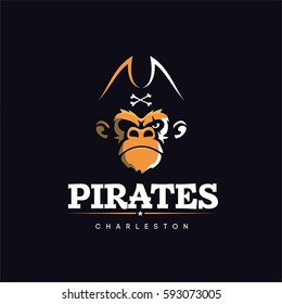 Modern vector professional sign logo pirates 