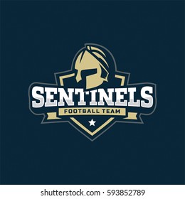 Modern vector professional sign logo emblem sentinels 