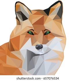 Modern vector red fox in polygonal style