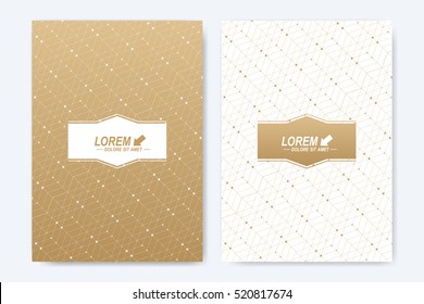 Modern vector template for brochure, Leaflet, flyer, cover, booklet, magazine or annual report. A4 size. Abstract golden presentation book layout. Geometric pattern with connected lines and dots