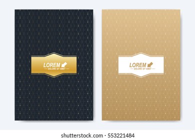 Modern vector template for brochure, Leaflet, flyer, cover, booklet, magazine or annual report. A4 size. Abstract golden presentation book layout. Geometric pattern with connected lines and dots.