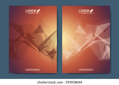 Modern vector template for brochure, Leaflet, flyer, advert, cover, catalog, magazine or annual report. Geometric background communication. Scientific particle compounds. Lines plexus. Card surface