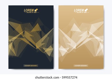 Modern vector template for brochure, Leaflet, flyer, advert, cover, catalog, magazine or annual report. Geometric background communication. Scientific particle compounds. Lines plexus. Card surface