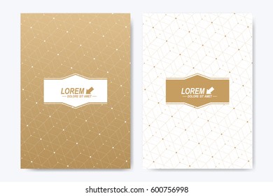 Modern vector template for brochure, Leaflet, flyer, cover, booklet, magazine or annual report. A4 size. Abstract golden presentation book layout. Geometric pattern with connected lines and dots