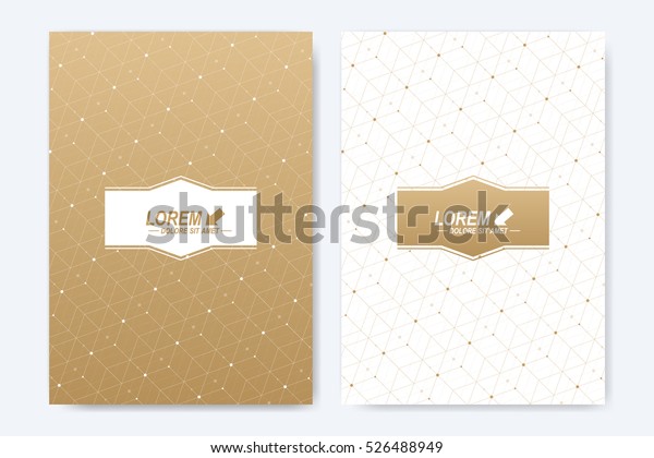 Modern vector template for brochure, Leaflet, flyer,\
cover, booklet, magazine or annual report. A4 size. Abstract golden\
presentation book layout. Geometric pattern with connected lines\
and dots
