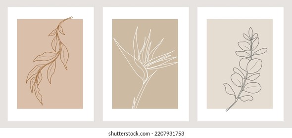 Modern vector wall art. Abstract floral Line Drawing.  Botanical Print Set.  Aesthetic Contour. Trendy Home Decor,  Posters, t-shirt Print, Mobile Case, tattoo, logo design, packaging. 