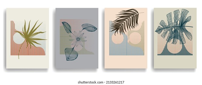 Modern wallpaper with minimalist design elements . Botanical art. Backgrounds in Boho style  . Wall art , home deco . Contemporary posters with leaves and geometric shapes .Vector abstract wallpaper.