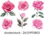 Modern Watercolor Pink Rose Clipart collection