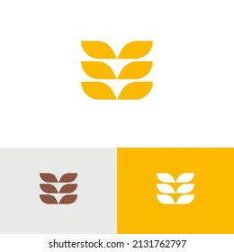 Modern wheat grain logo vector design concept. Agriculture farm company brand logomark illustration template. Representing health, bread, cereal, plant, seed, vegan, food, harvest.