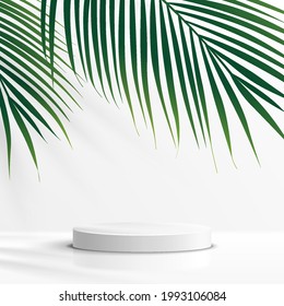 Modern white cylinder pedestal podium with green palm, coconut leaf. Platform in shadow. Abstract white and gray minimal wall scene. Vector rendering 3d shape cosmetic product display presentation.