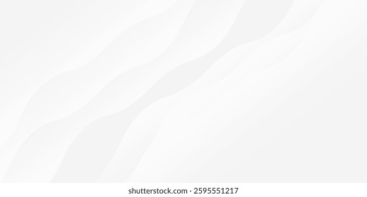 Modern white and gray background with gradient color and artistic dynamic line decoration abstract modern simple