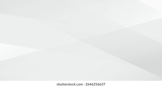 Fondo blanco y gris moderno. fondo abstracto liso, patrón borroso. Arte de diseño moderno abstracto de Vector pálido claro