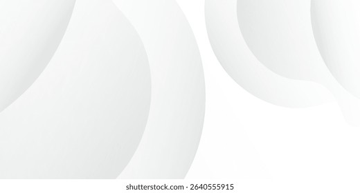 Modern white and gray color background.Dynamic shapes composition. Abstract background,Template for the design simple abstract art