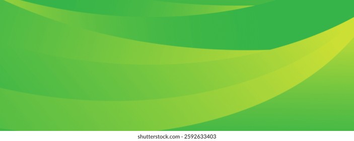 Modern white and green color abstract background