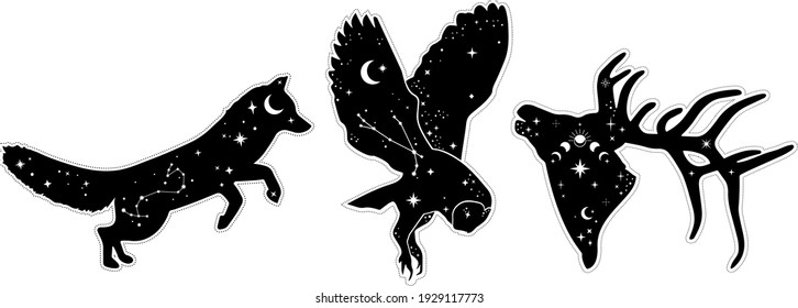 Modern witchcraft and mystic animals. Fox, owl, deer, Collection of mystical and magical, astrology illustrations and elements. Stars, constellations, moon phases,Night animals