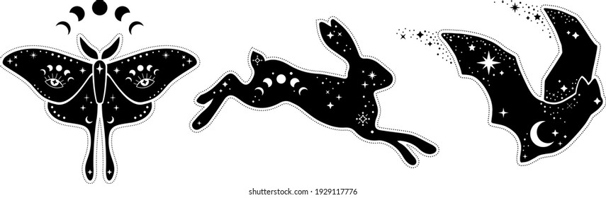 Modern witchcraft and mystic animals. hare, moon moth, bat, Collection of mystical and magical, astrology illustrations and elements. Stars, constellations, moon phases,Night animals