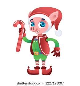 modern young smiling and happy Santa Claus helper piggy in a red and green traditional costume with gloves, a belt, a hat and a big sweet candy in the year of the pig 2018 drawn detailed vector