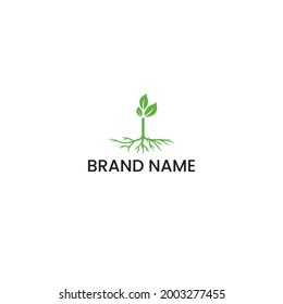 moderns minimalist grow leaf logo design