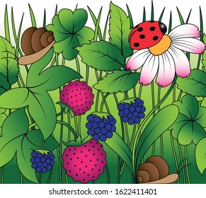 Modular edge. Detail of a meadow with daisies, ladybugs, snails, strawberries, raspberries, four-leaf clovers and blades of grass.
