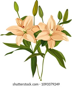 Mogara Flower With Leaf Vecor Drawing 