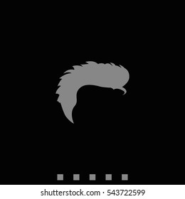 Mohawk hair style for men icon.