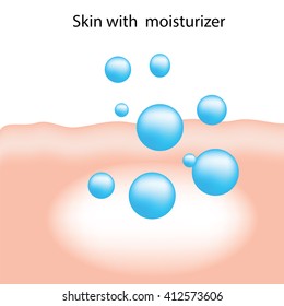 Moisturizer absorb on the human skin infographic vector  for skin treatment