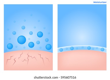 moisturizer apply on dry skin vector