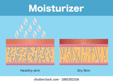 Moisturizer, dry skin and healthy skin, vector design.