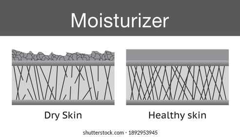 Moisturizer, dry skin and healthy skin, vector design.