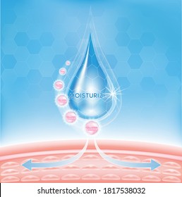 Mosturizador Muestra la humedad absorbida en la piel, tipo cosmético, loción, crema, suero. EPS10 vectores