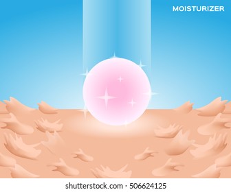 moisturizer turn dry to healthy skin , vector . anatomy