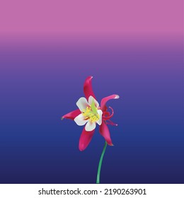 Mojave Flower illustration vector with blue and pink background. Vector illustration of a flower with gradient background