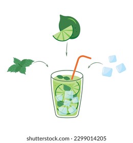 Mojito cocktail or drink with limes and mint.Flat vector illustration