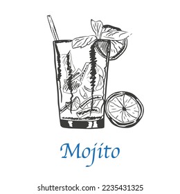 Mojito cocktail hand drawn. isolated vector graphic.
