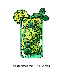 mojito cocktail hand drawn vector. mint glass drink, lime ice, green fruit mojito cocktail sketch. isolated color illustration