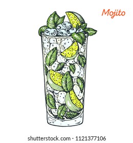 Mojito cocktail illustration. Alcoholic cocktails hand drawn vector illustration.