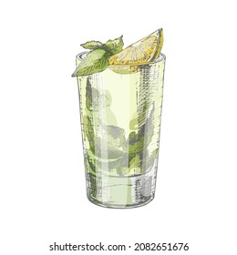 Cóctel de Mojito con cal y menta en vidrio de bola alta. Ilustración de color vectorial de eclosión vintage. Aislado sobre fondo blanco