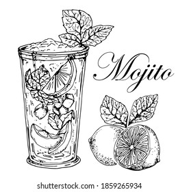 Mojito cocktail with lime and mint leaf. Black and white sketch.Vector. Hand-drawn . On white background. Isolated
