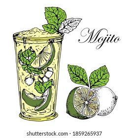 Mojito Cocktail With Lime And Mint Leaf. Black And White Sketch.Vector. Hand-drawn . On White Background. Isolated