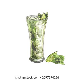 mojito cocktail with mint, lime and ice in a transparent glass, drawing, vector, on a white background