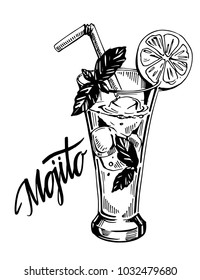 Mojito cocktail. Vector illustration. Isolated outline