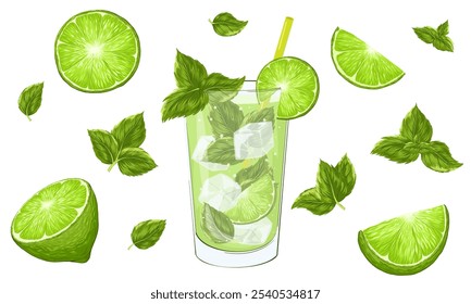 Mojito cocktail vector set with mint leaves, lime for cocktail bar or drink summer party. Gin rickey cocktail with alcohol drink for beach bar and cafe menu. Isolated fruits, peppermint and cocktail