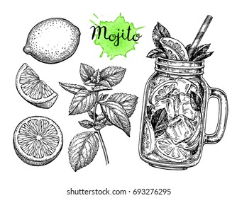 Mojito drink and ingredients. Retro style ink sketch isolated on white background. Hand drawn vector illustration.